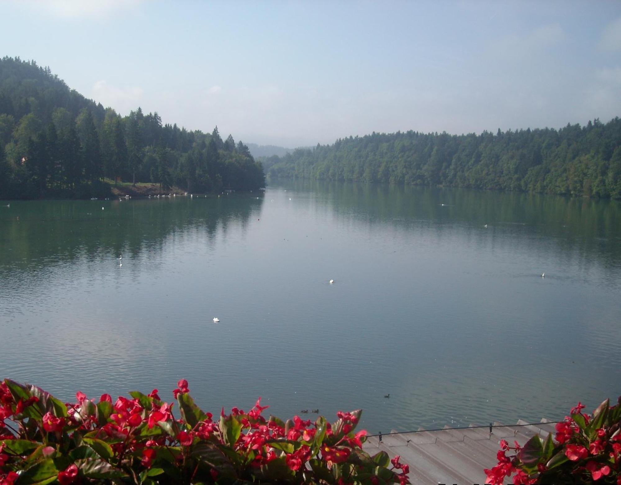Gostisce Jezero Bed and Breakfast Medvode Exteriör bild