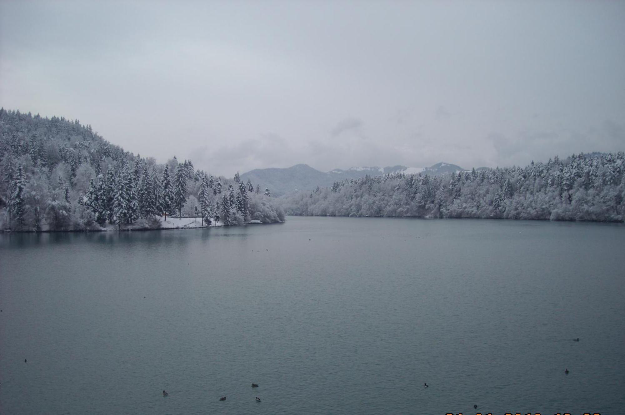 Gostisce Jezero Bed and Breakfast Medvode Exteriör bild